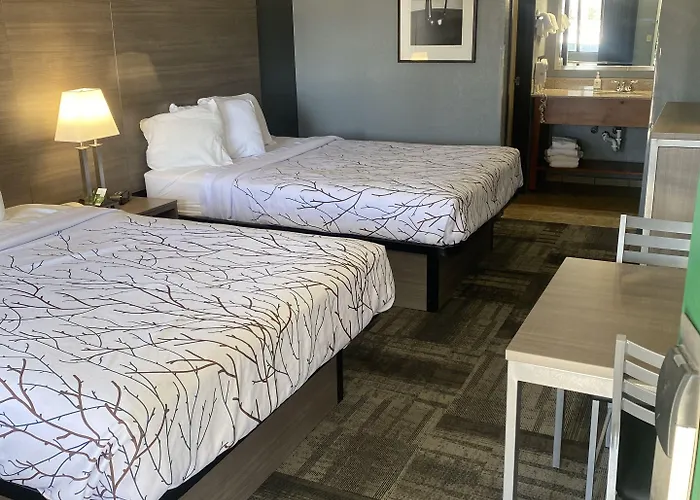 Hotel Greentree (adults Only) 2*