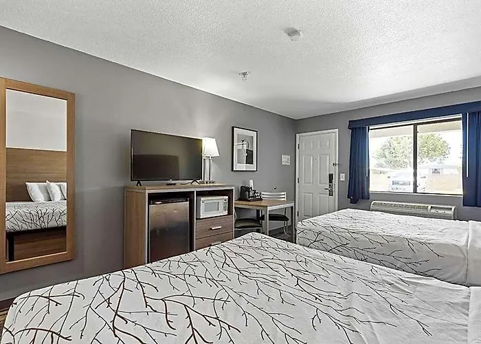 Hotel Greentree (adults Only)